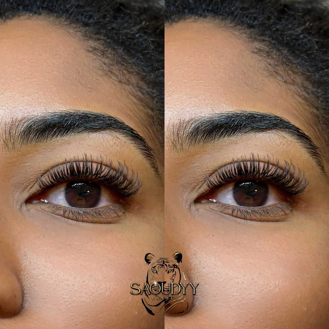 0.05 C Curl Brown Cashmere Lash Extensions Tray