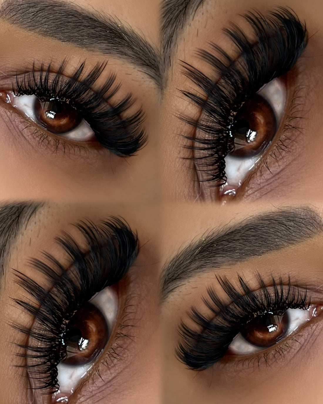CC Curl 0.05 Mixed Length Tray